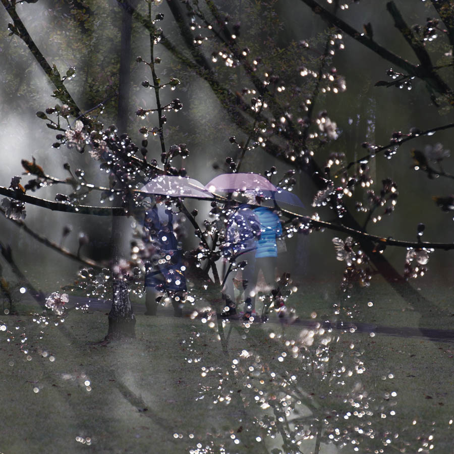 在雨中