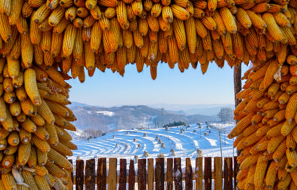 雪村