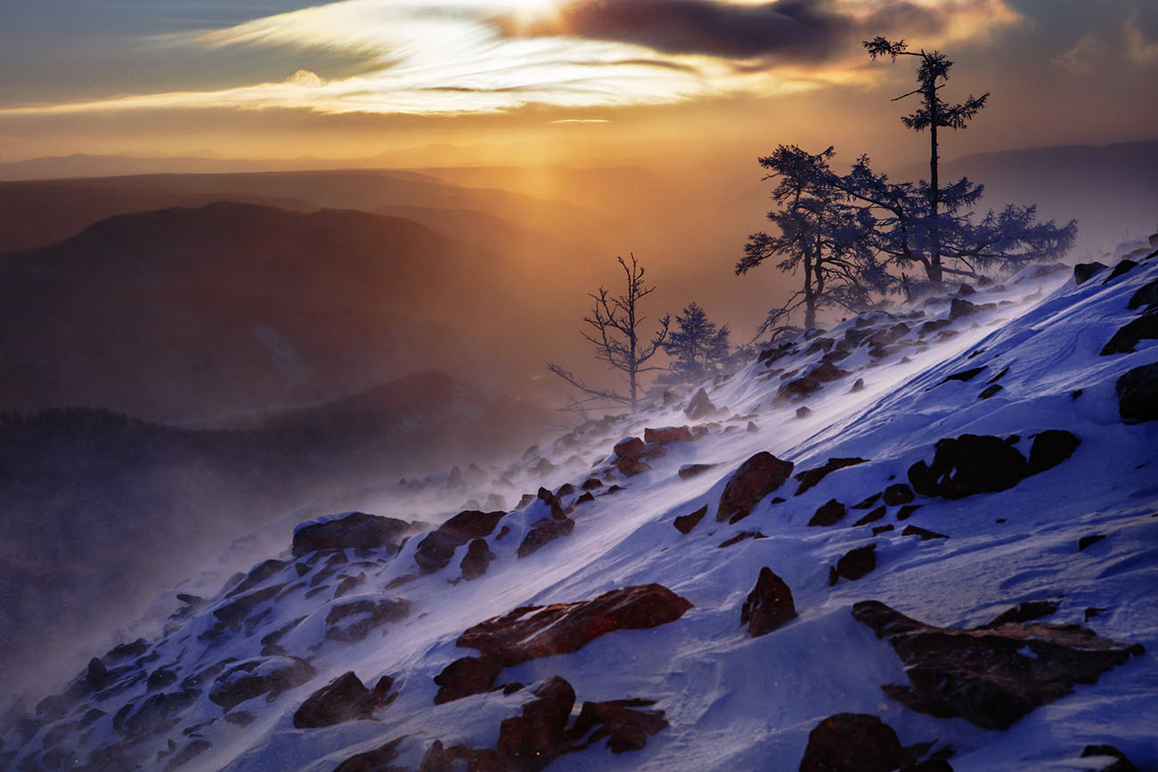 风雪白狼峰