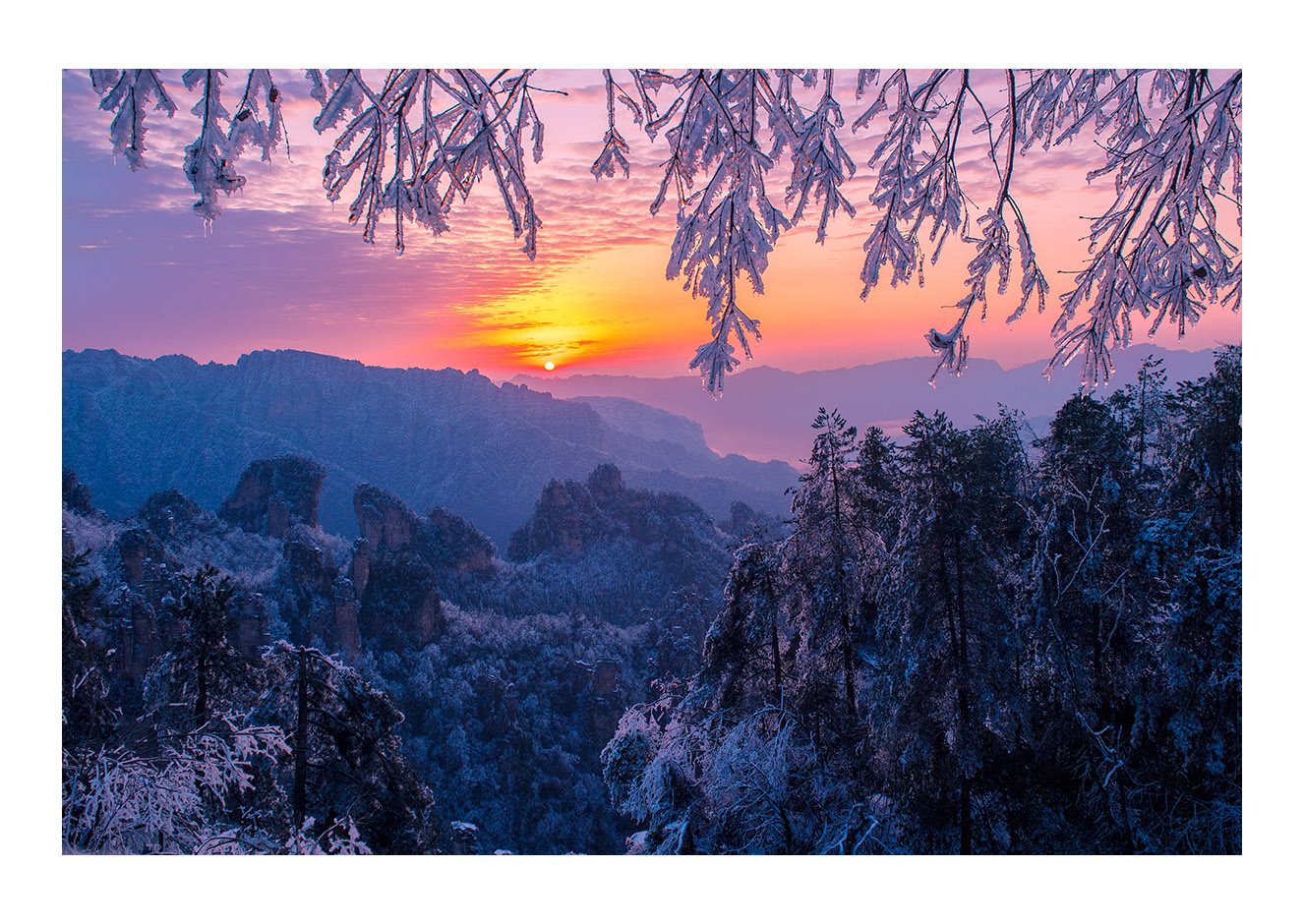 天子山晨韵