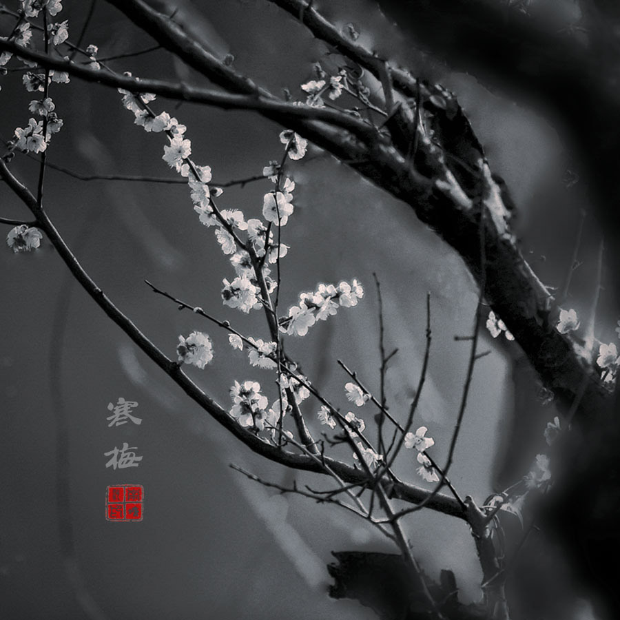 无题