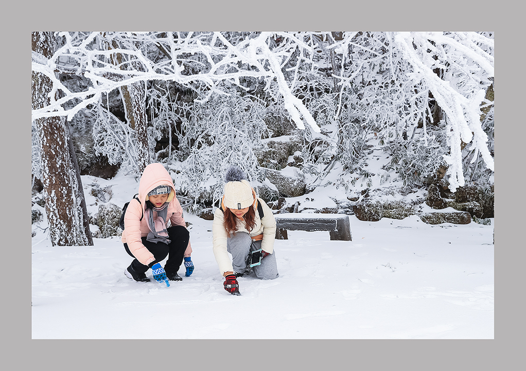 姐妹玩雪