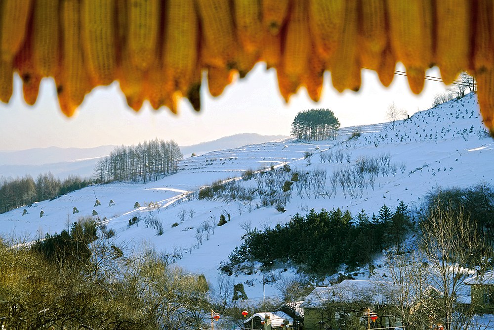 雪村