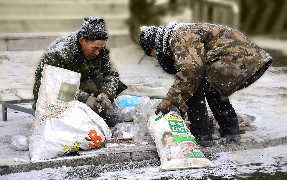 雪中伙伴