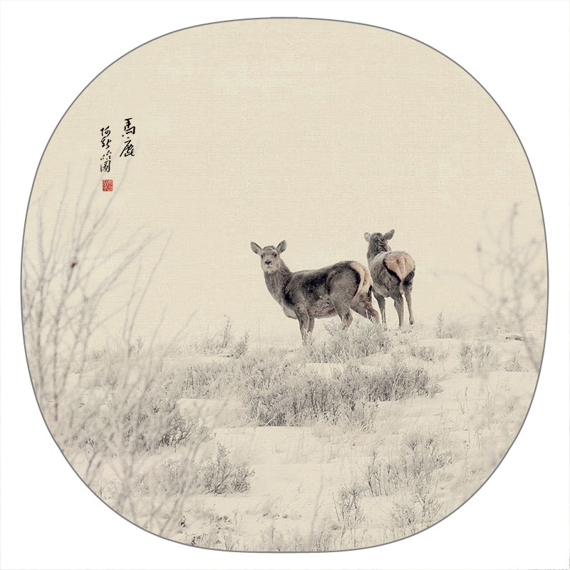 马鹿