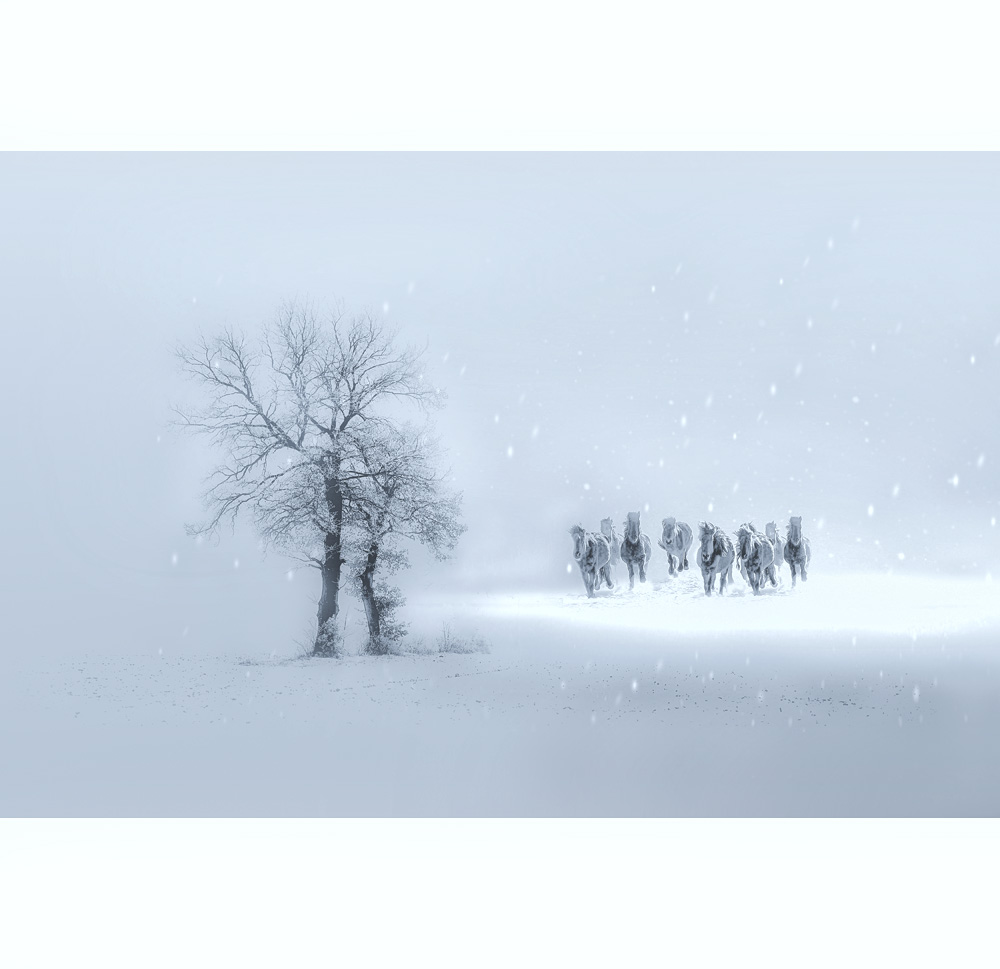 雪域