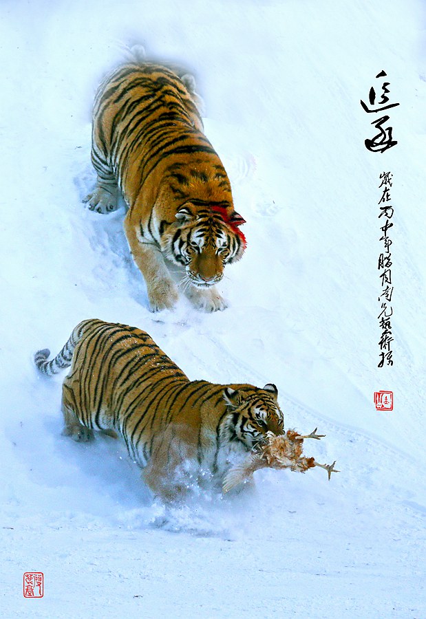 追逐