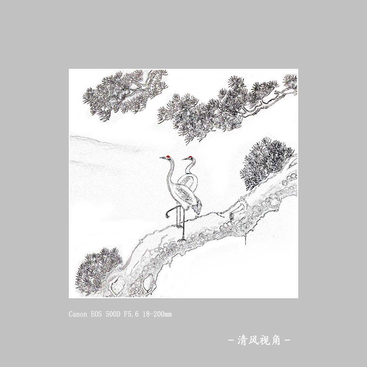 影画_2543