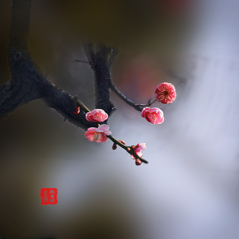 只把春来报