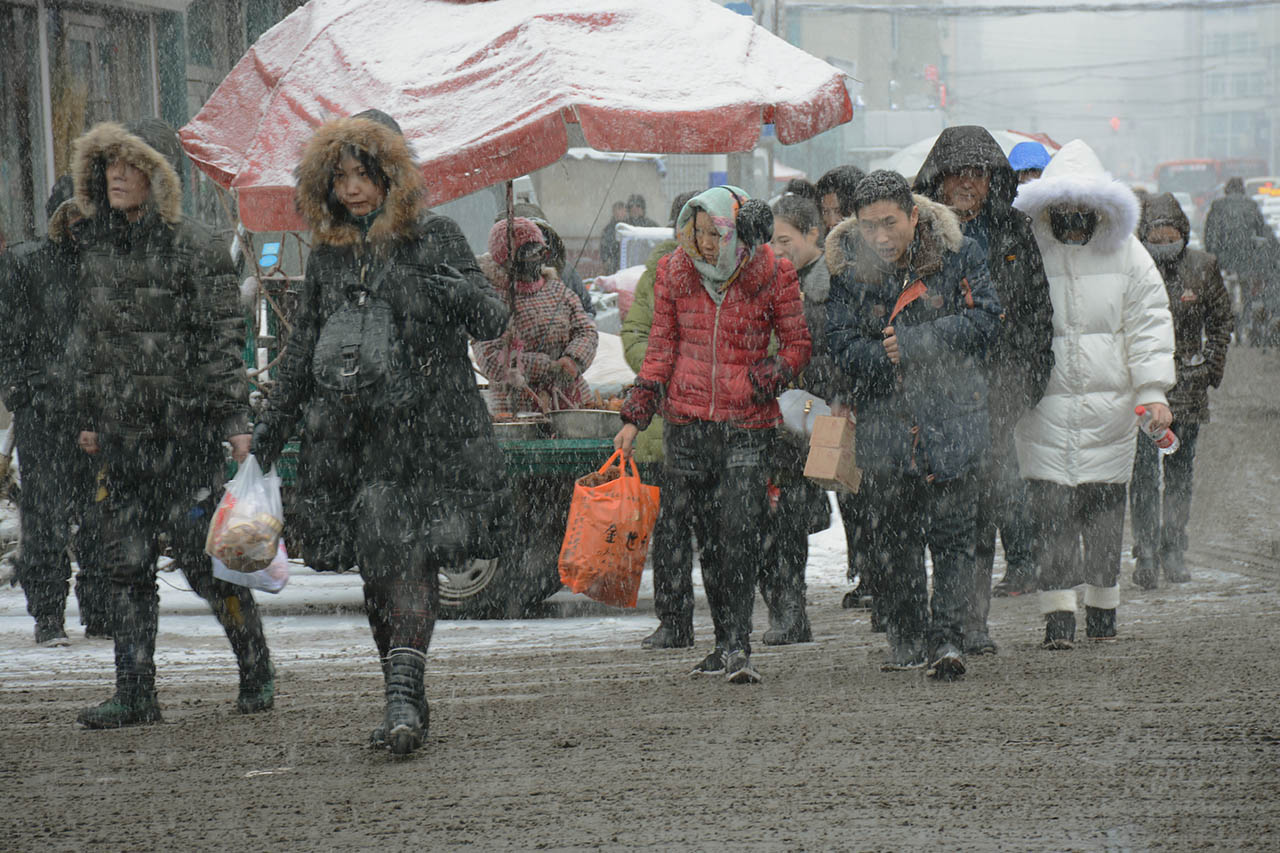 匆匆雪中行
