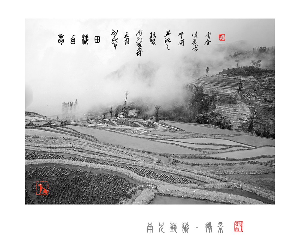 梦幻大地