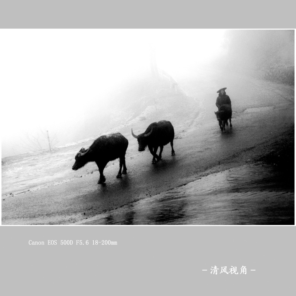 牧归_2394
