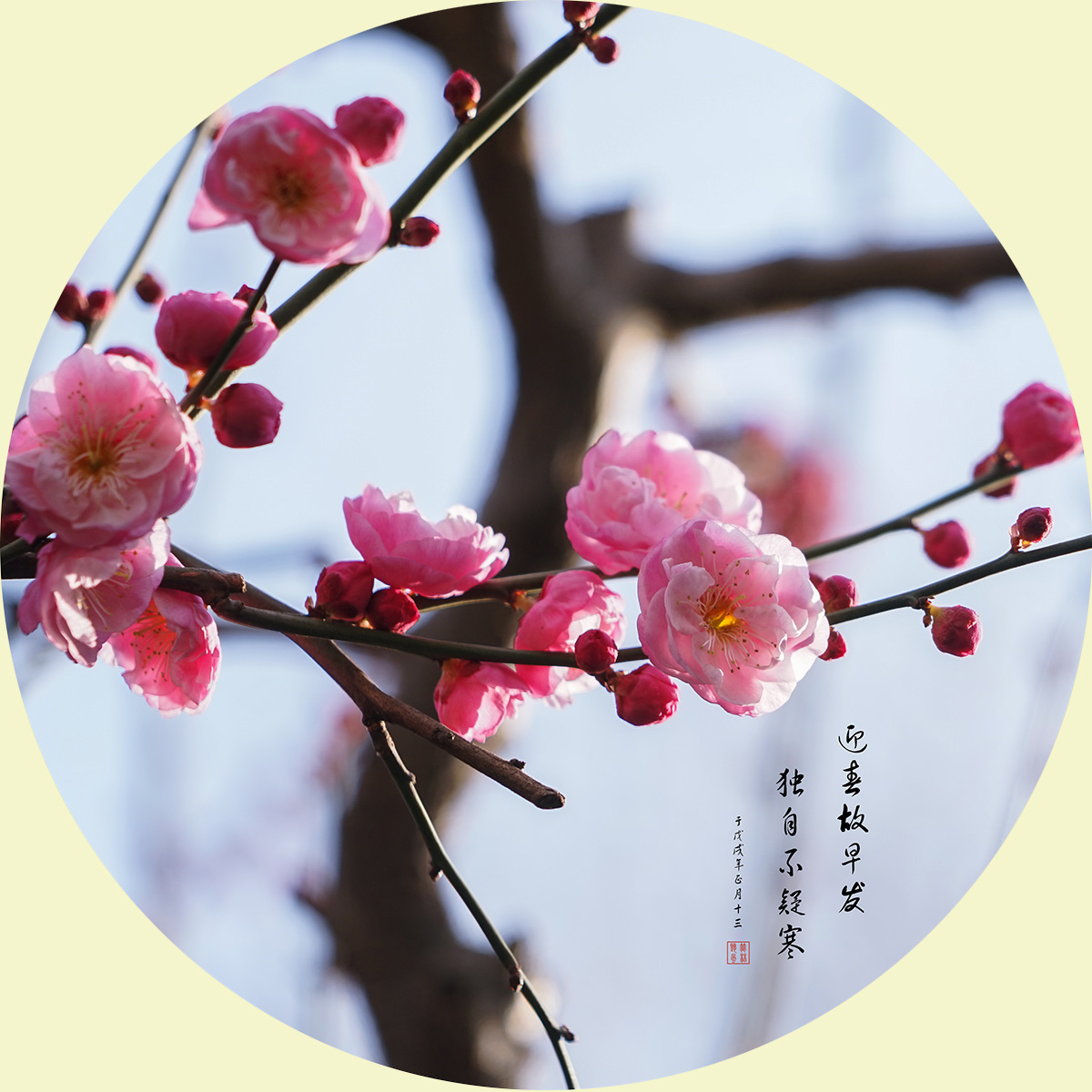 赏梅图