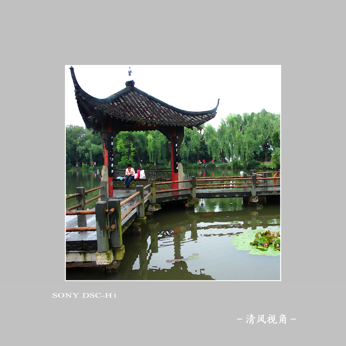 西湖小景_2145