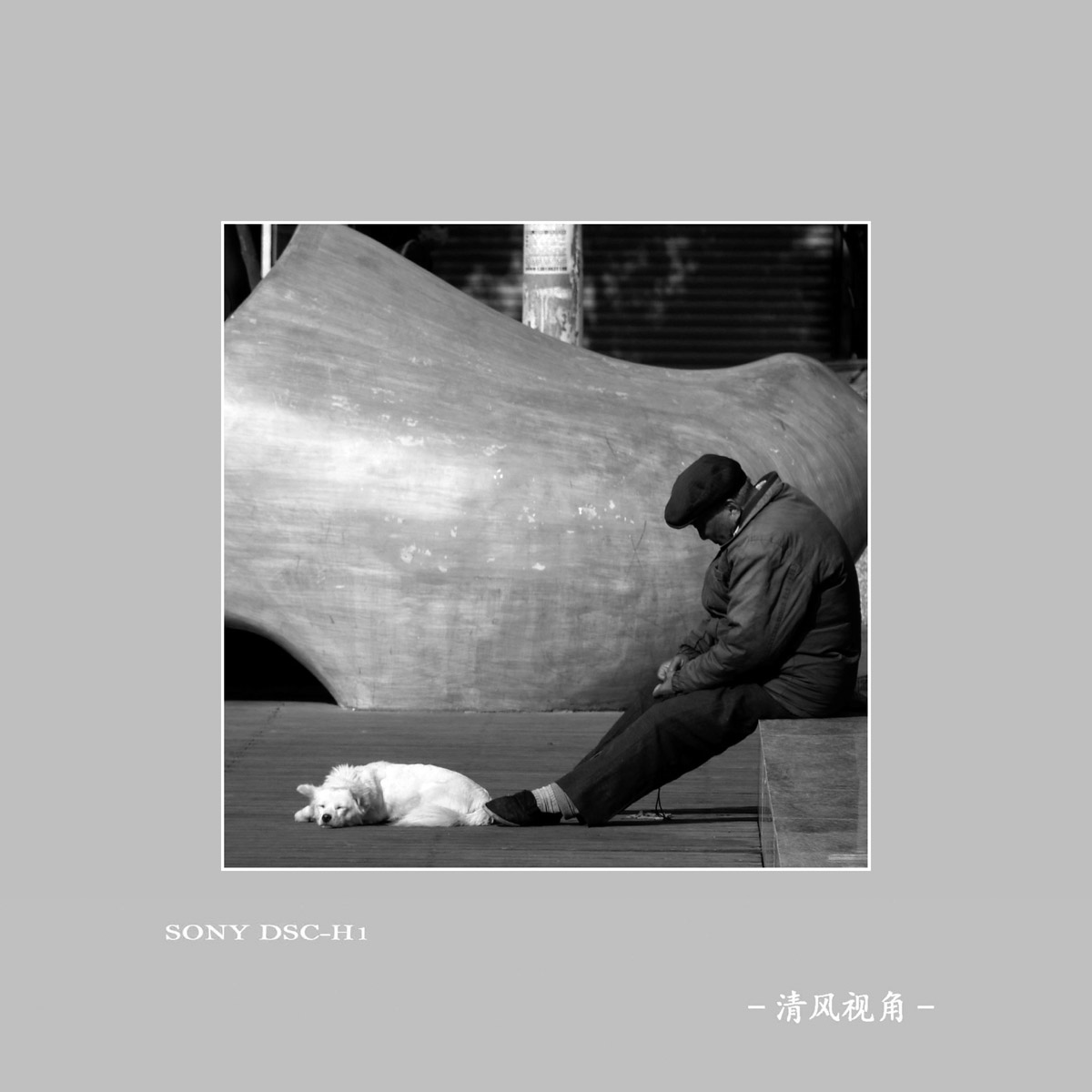 身边随拍_3862
