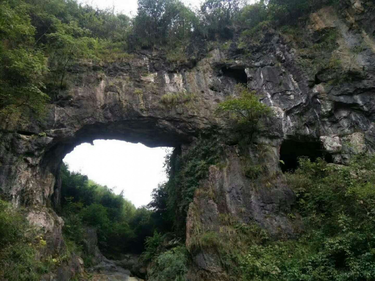 青山自生桥