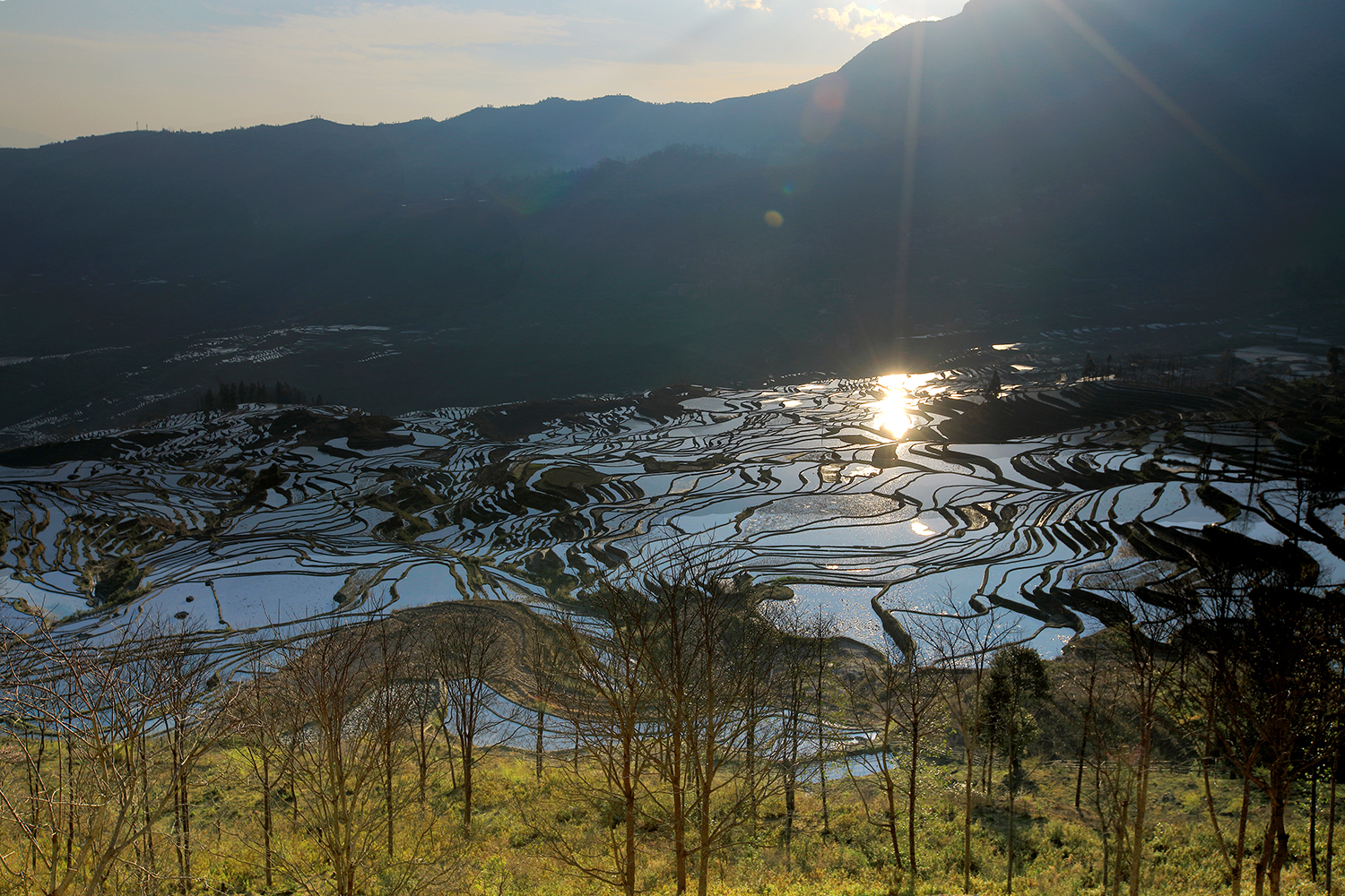 彝寨清晨
