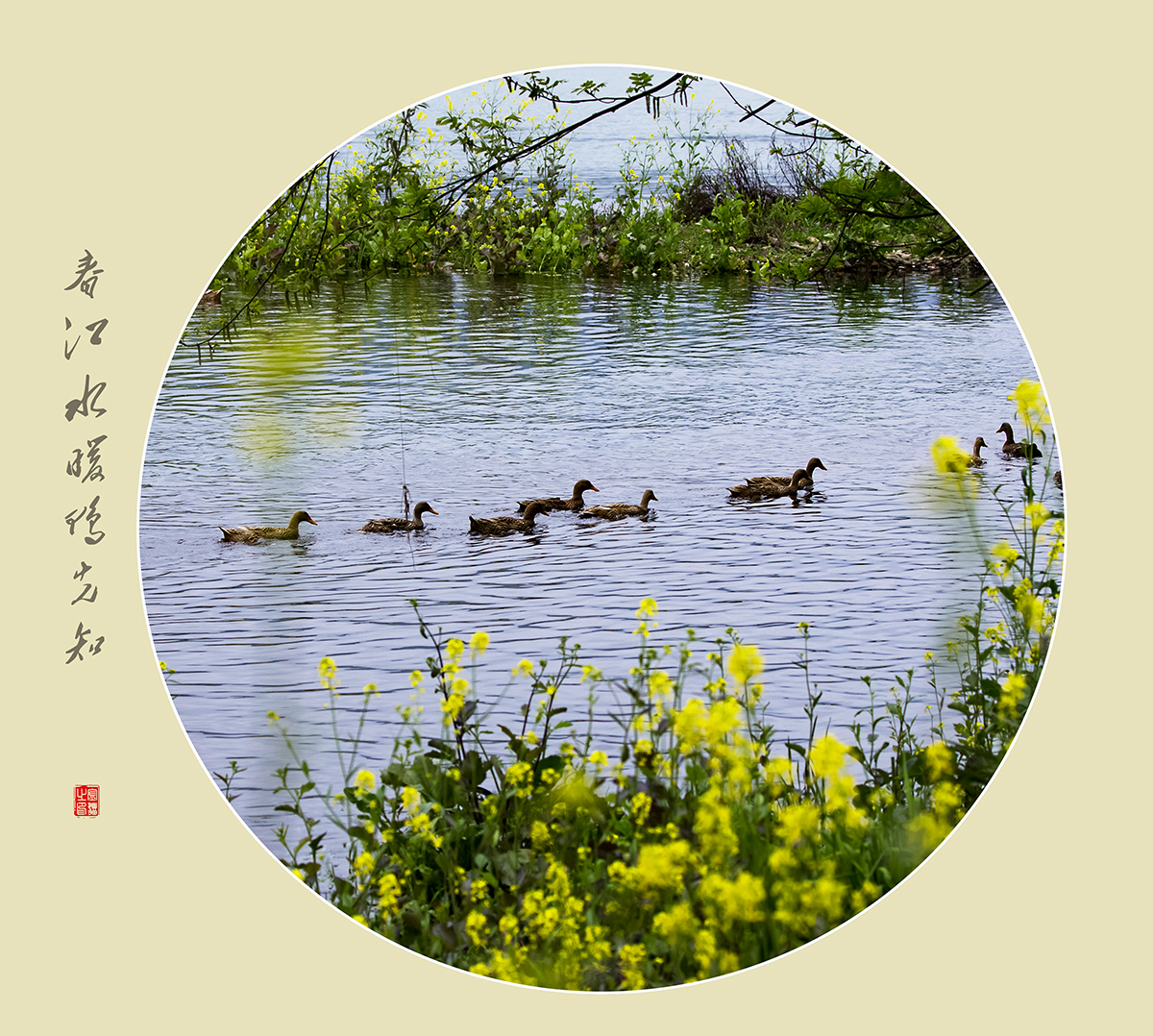 春江水暖鸭先知