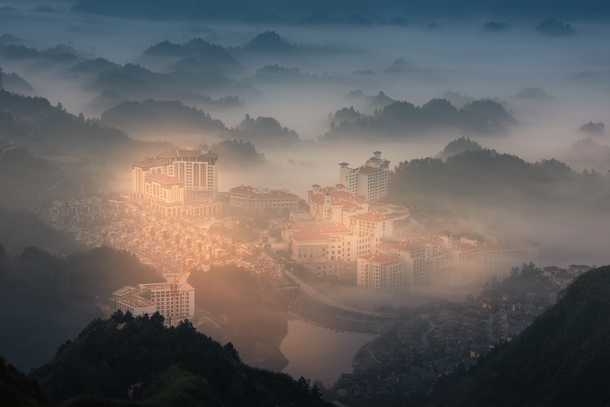 家园