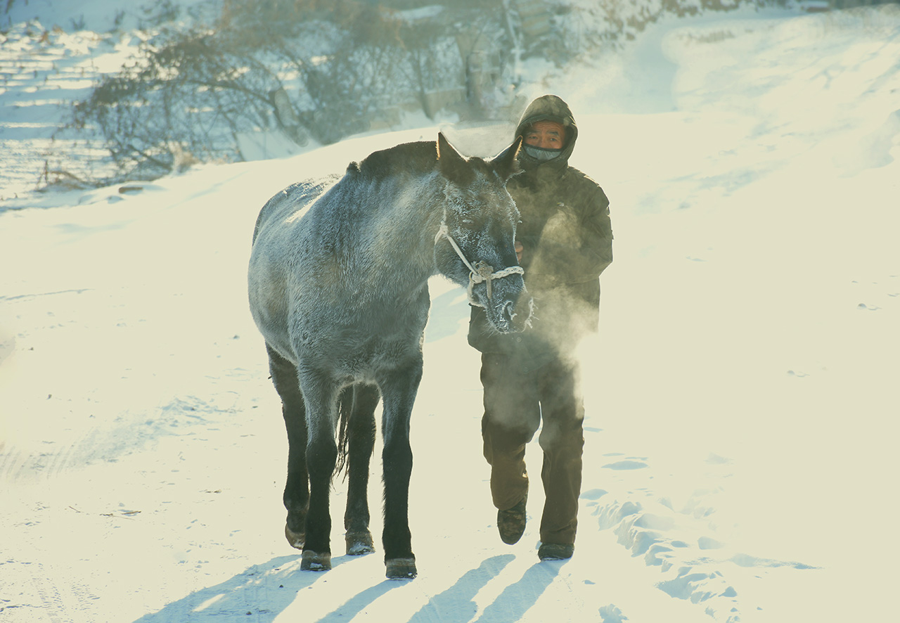 雪中行