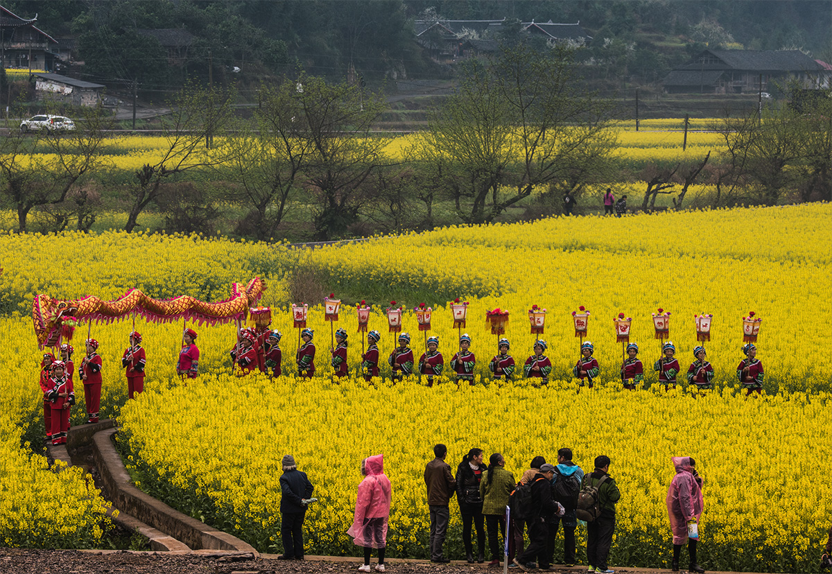 舞动的花季