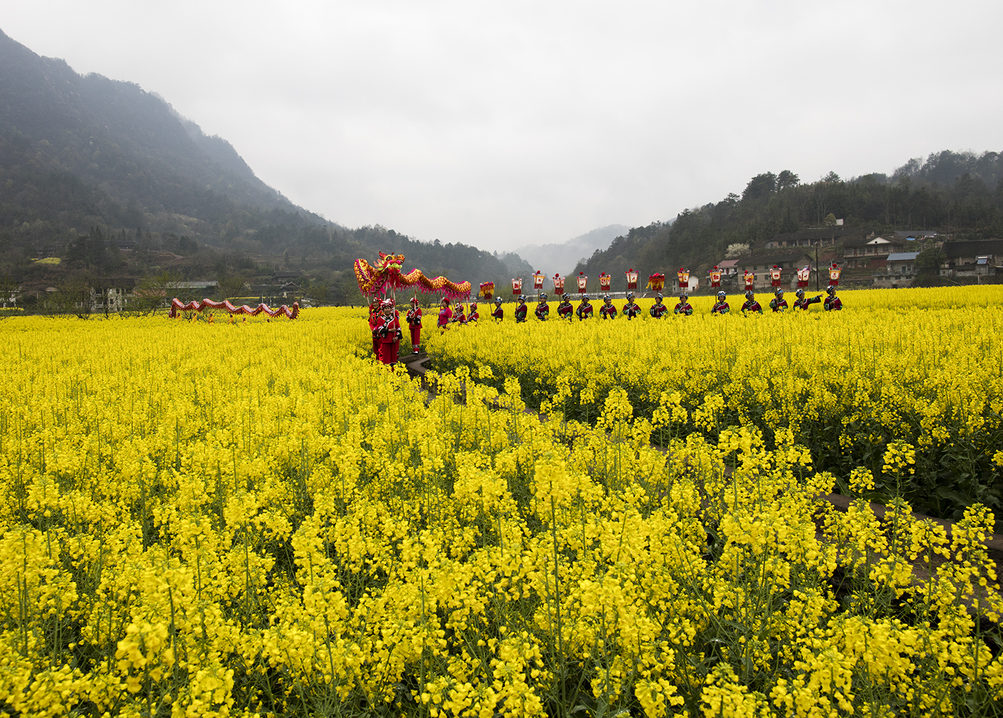 “油菜花节”的舞龙队