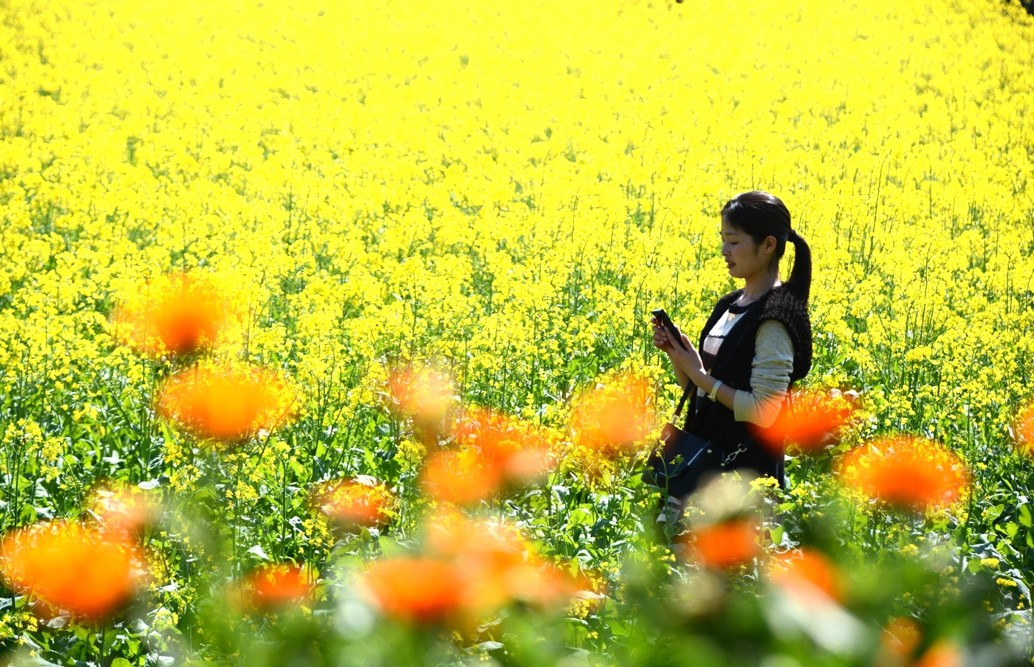 花不迷人，人自迷”