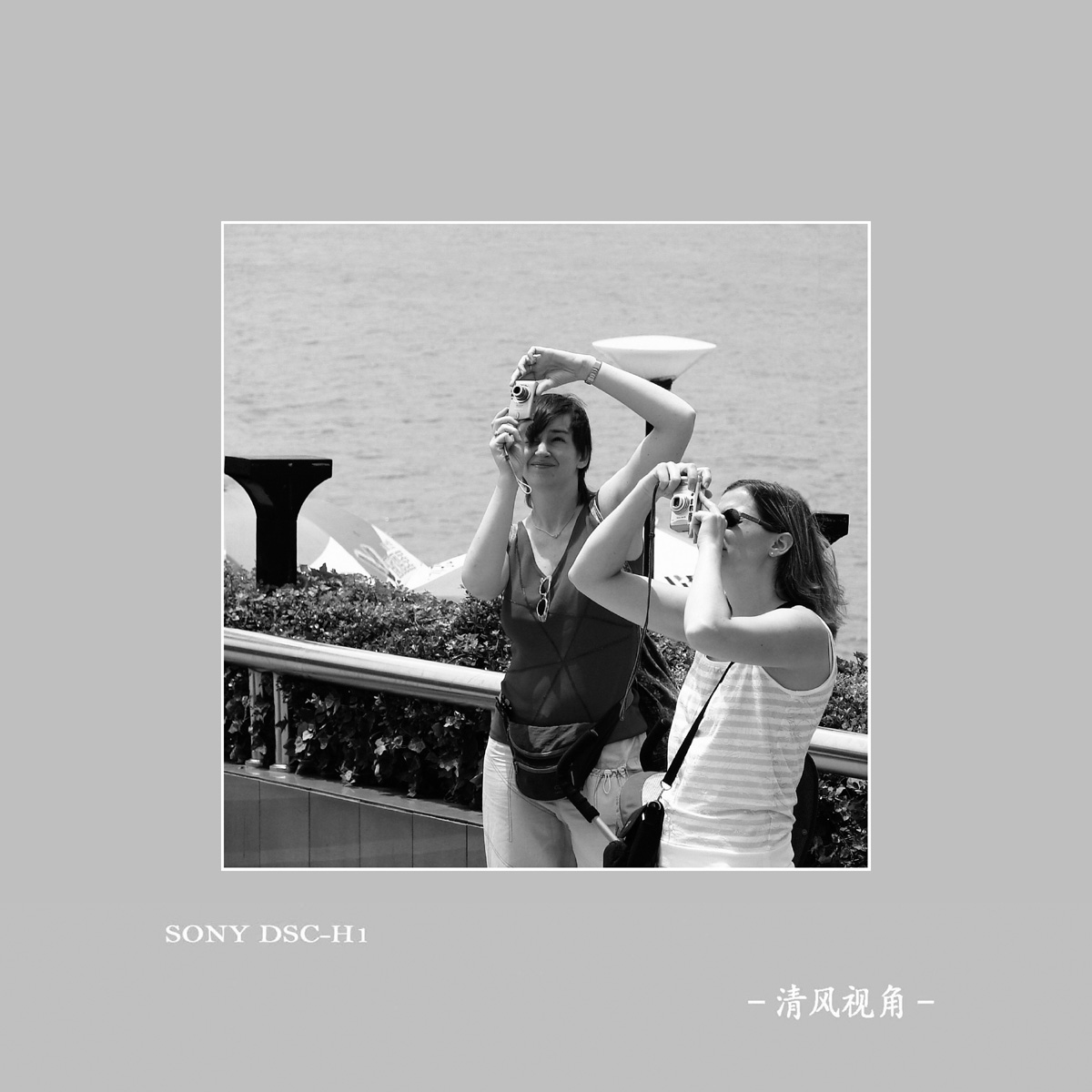 身边随拍_7053