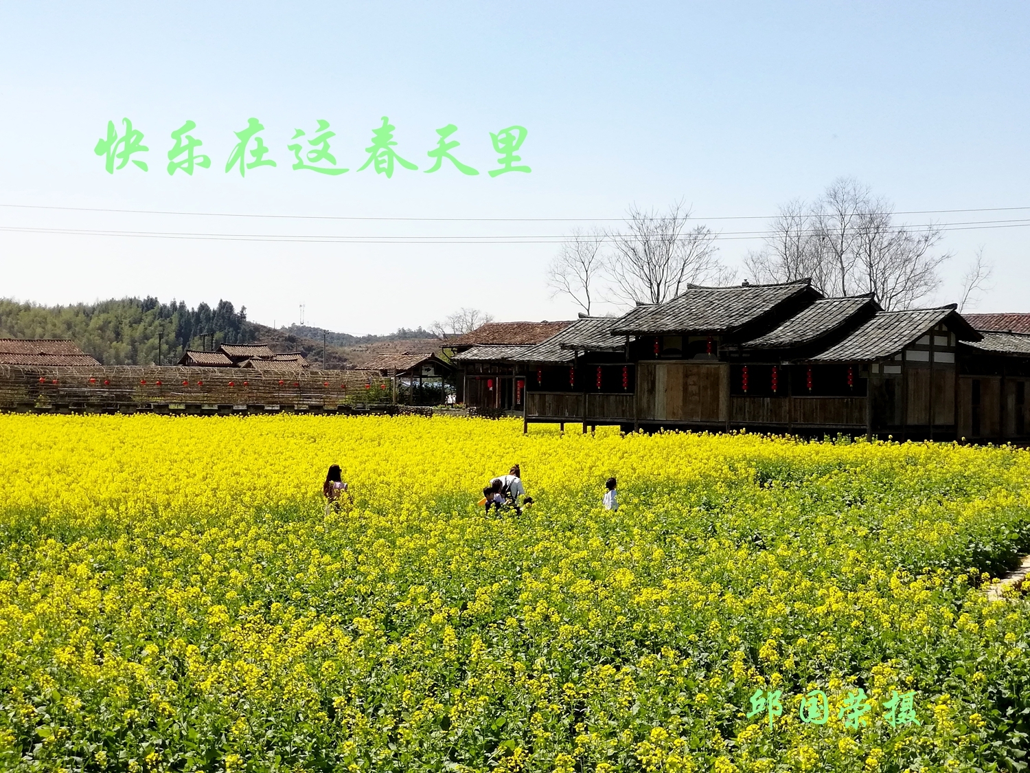 快乐在春天里。。。。。。