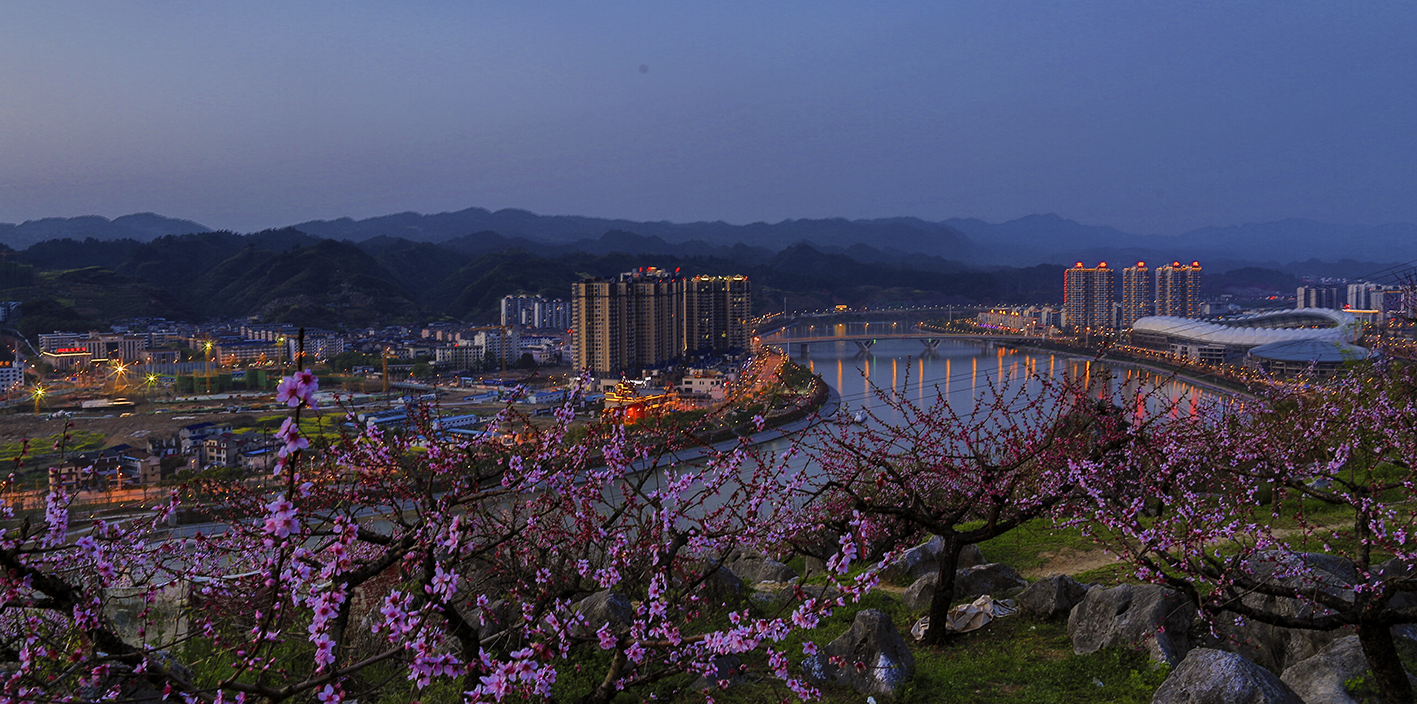 城市花季