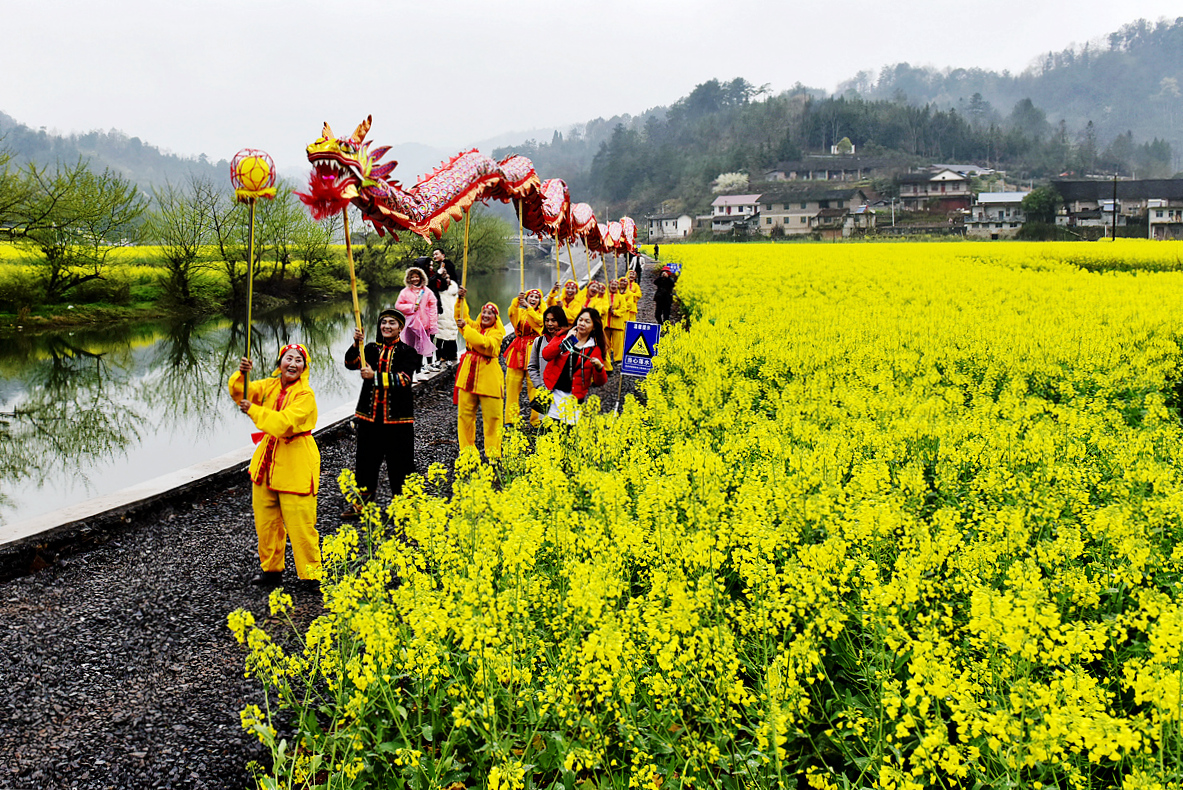 龙飞凤舞