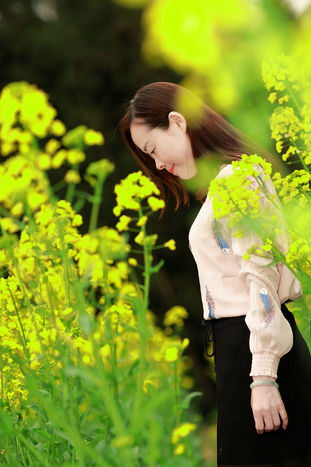 油菜花季
