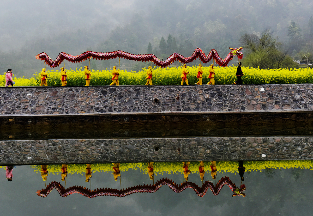 龙游花海-2