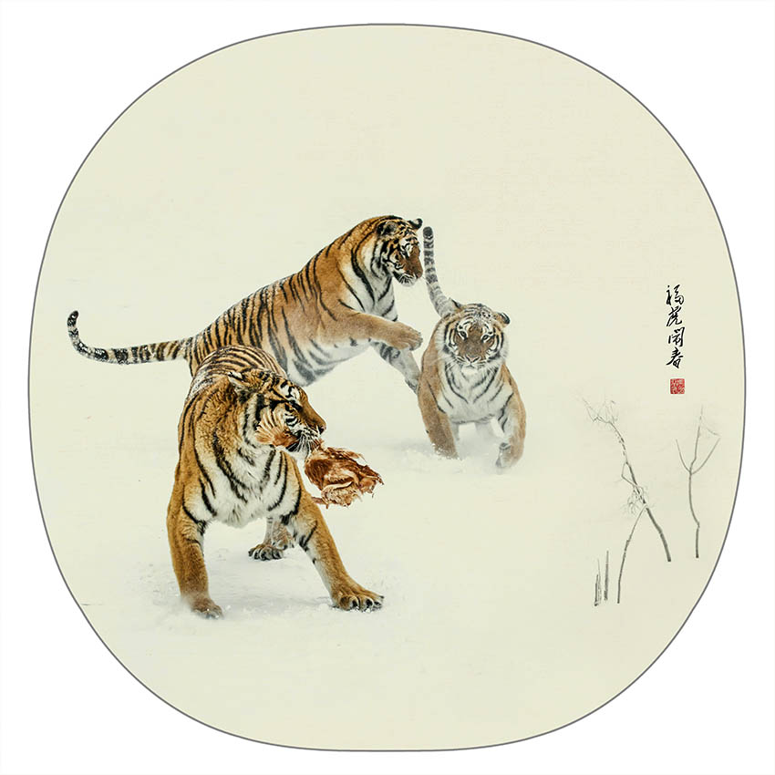 福虎闹春