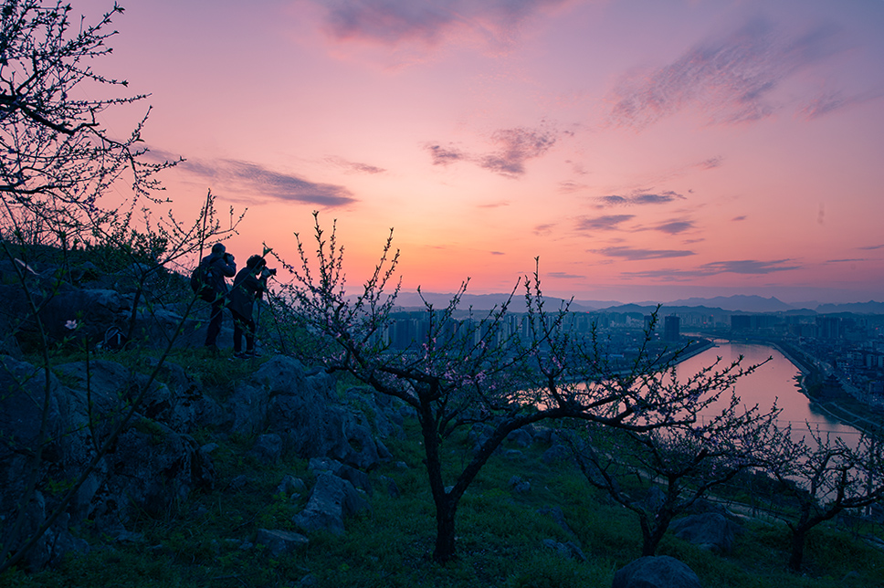 醉美夕阳红