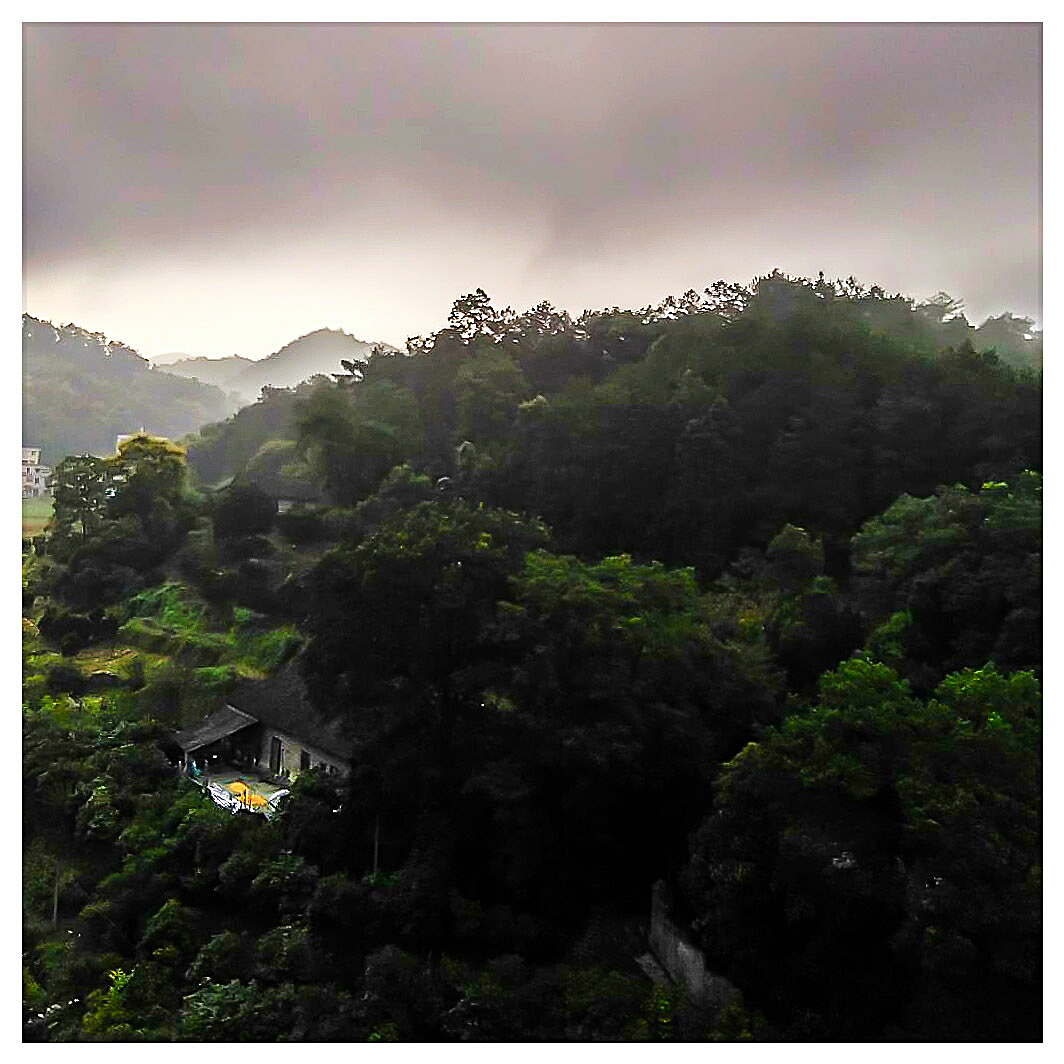 风雨欲来