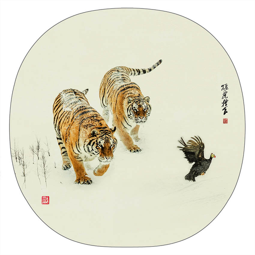 猛虎扑食