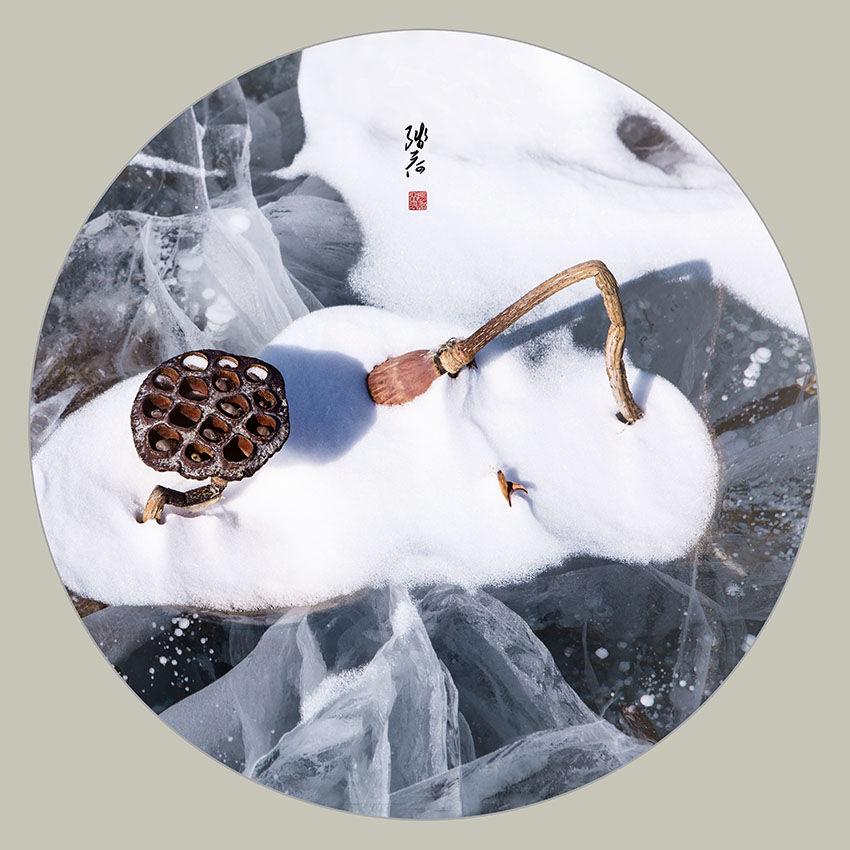 留得残荷听雪声