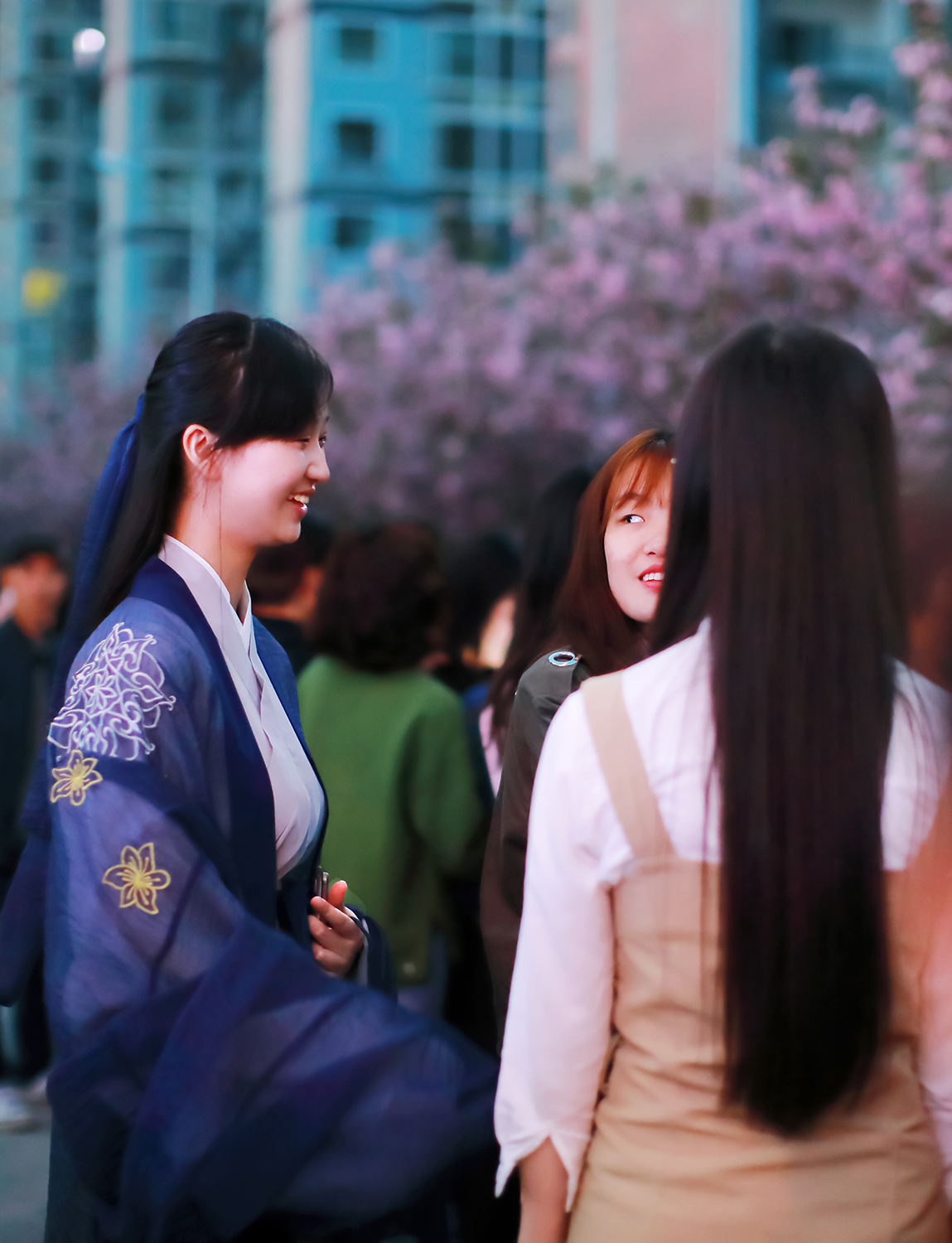 樱花园1