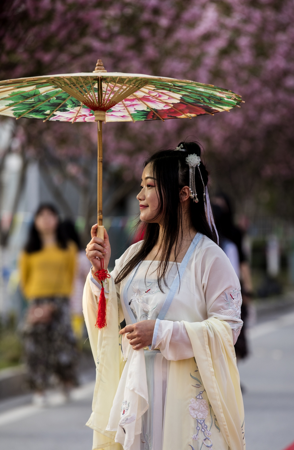 樱花醉美人
