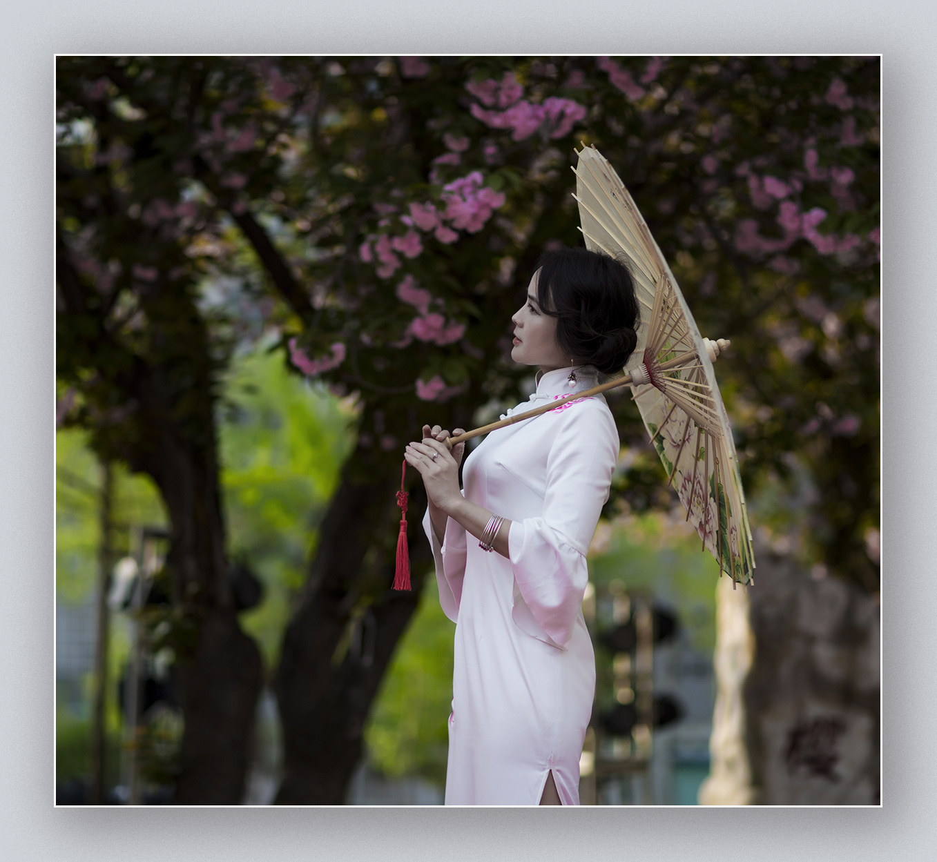 吉大第二届樱花节3