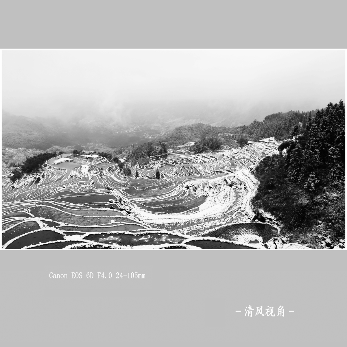 三月梅源_1566