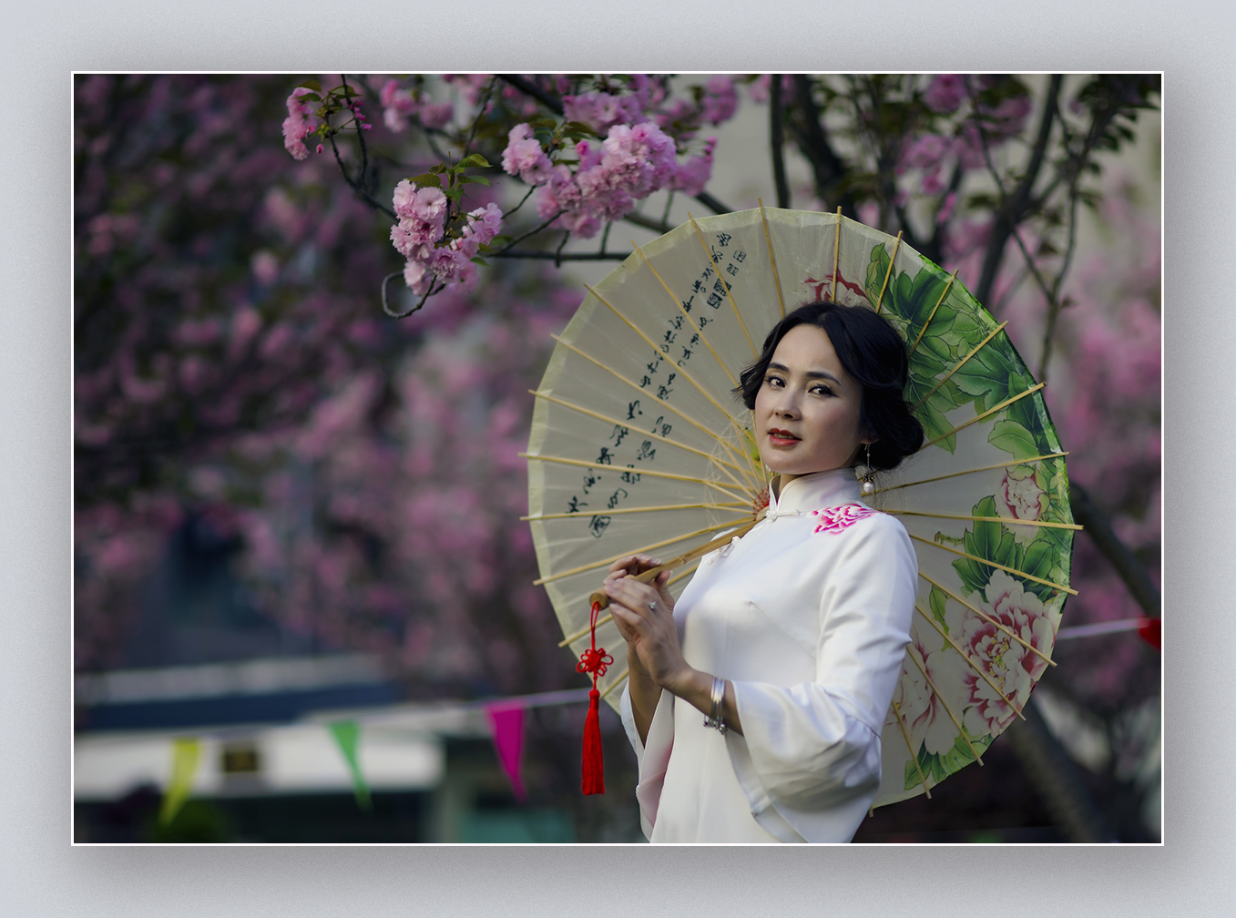 吉大第二届樱花节2