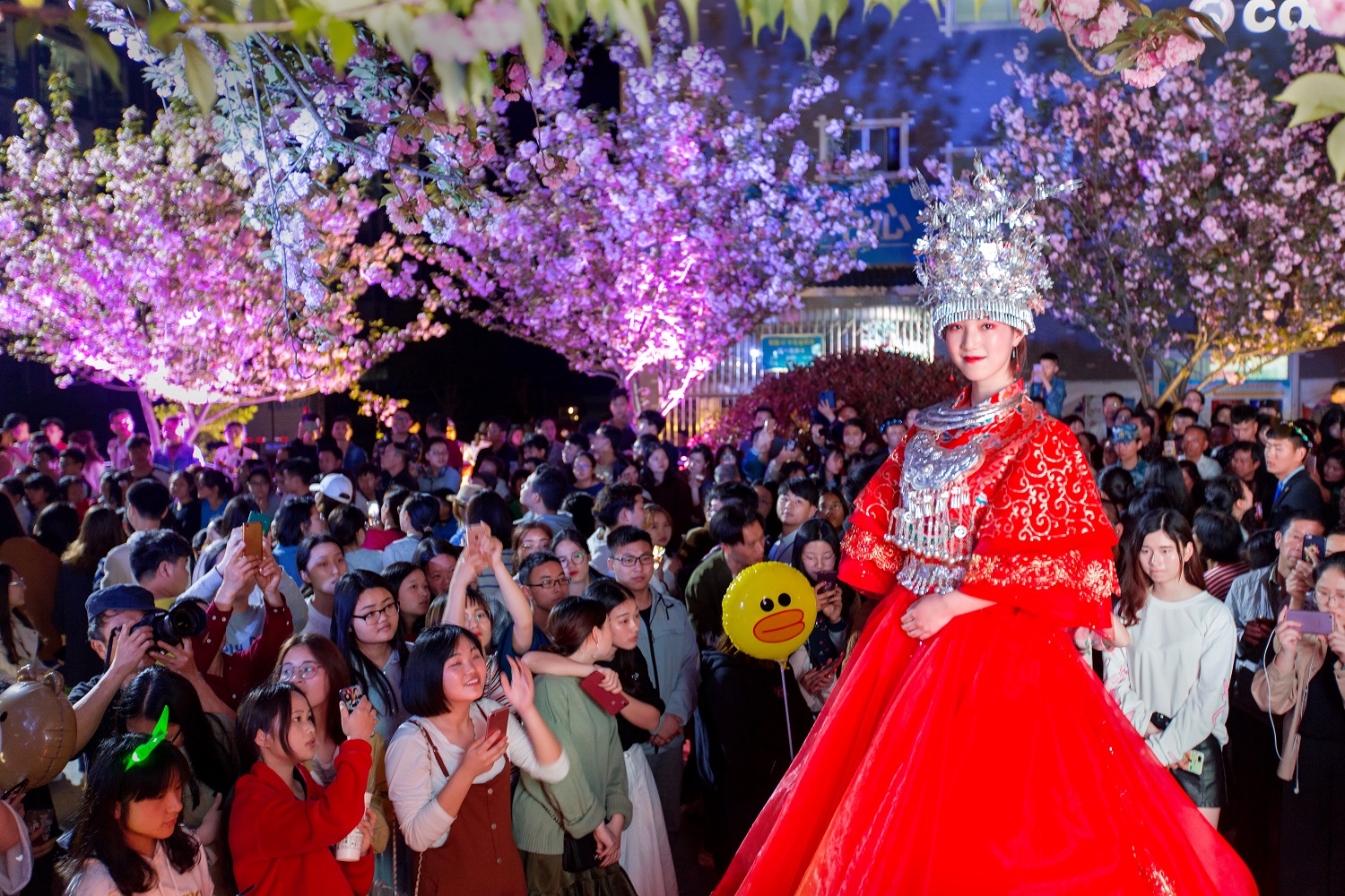 樱花仙子