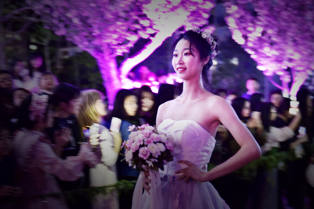 樱花仙子