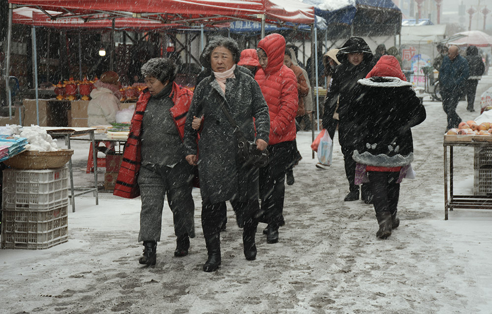 雪中匆匆行