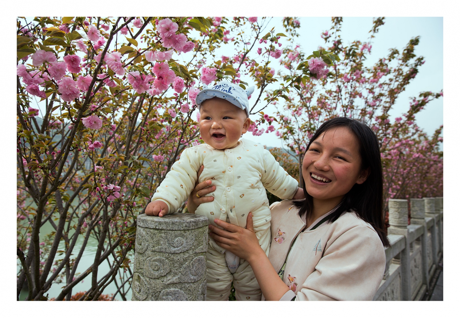 樱花树下母子情