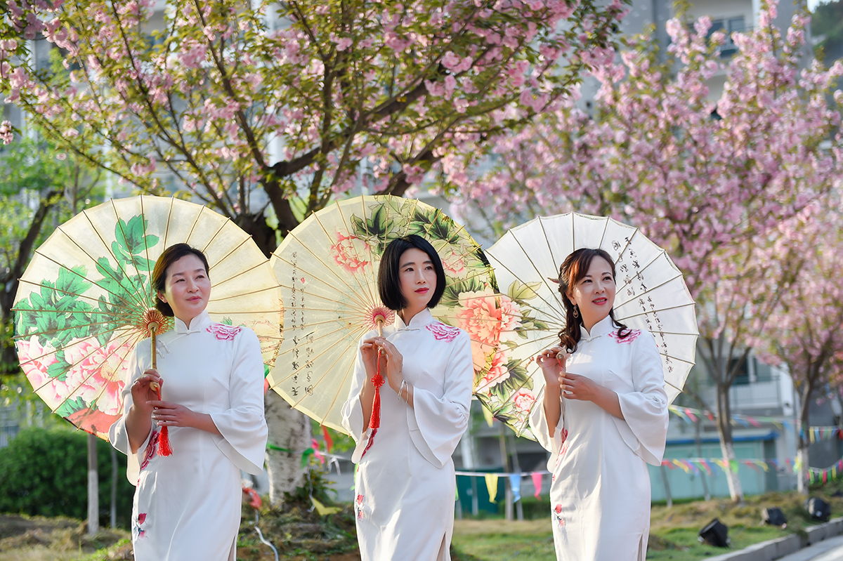 樱花映丽影
