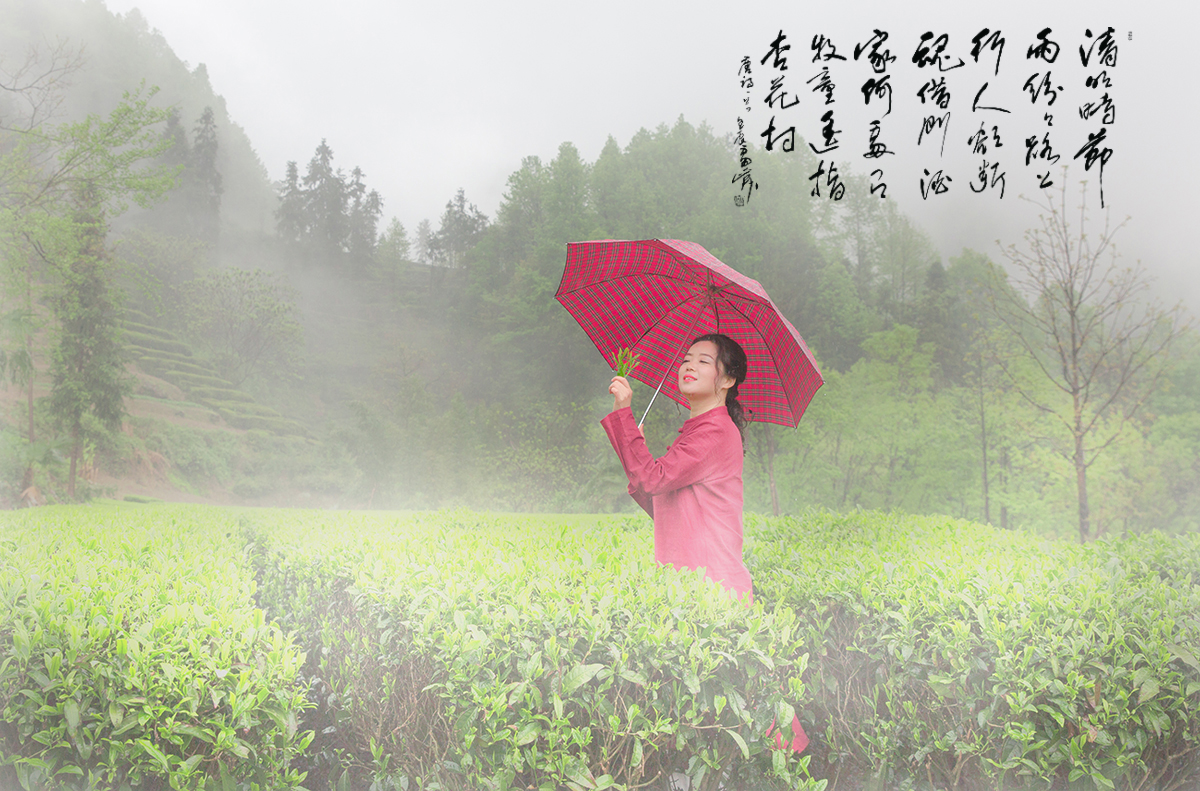 无题