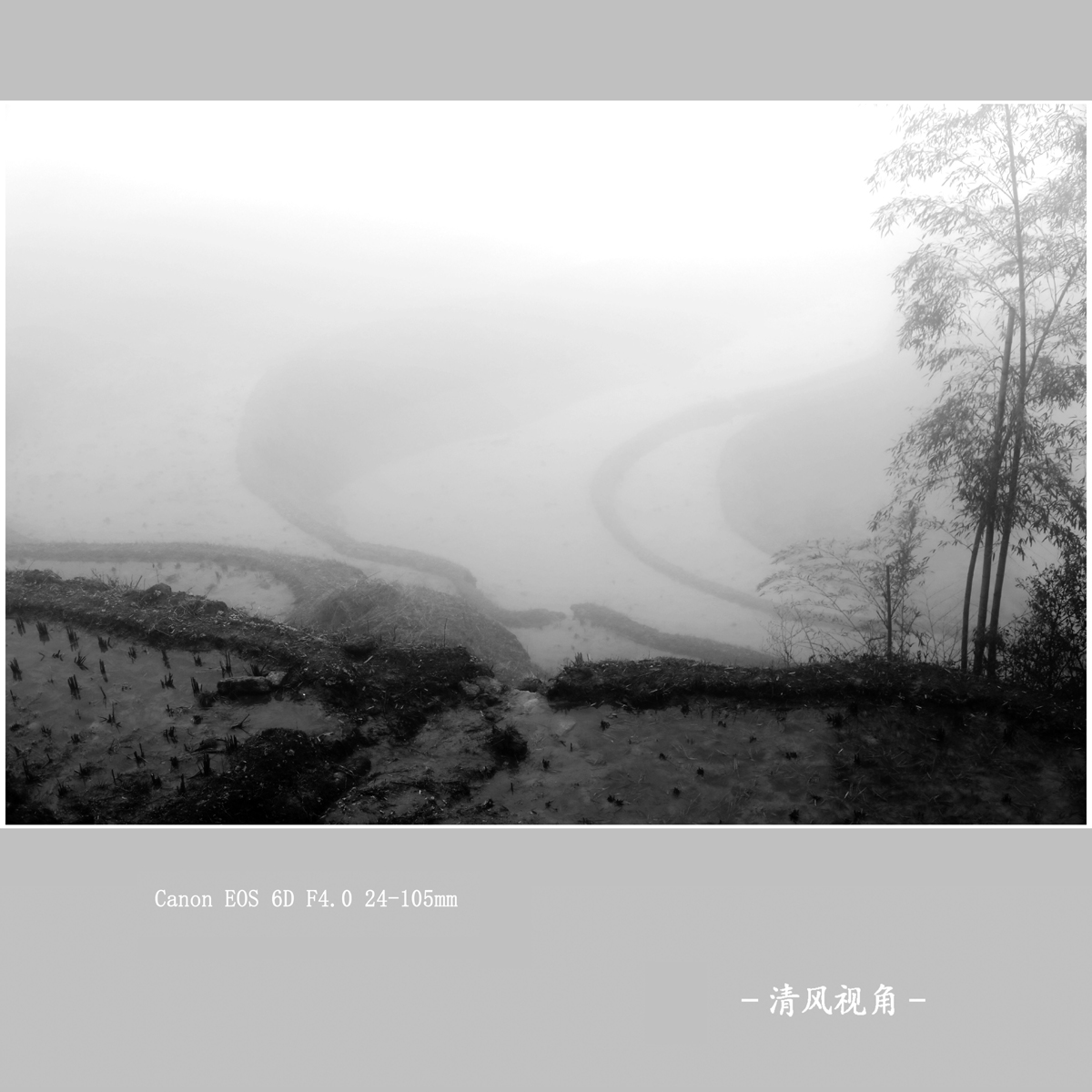 云和梅源_1804